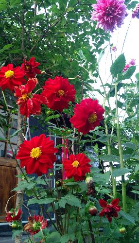 放松一下心情_中国银行(601988)股吧_东方财