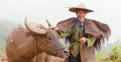 在A股跟消息面炒股只能_山鹰纸业(600567)股