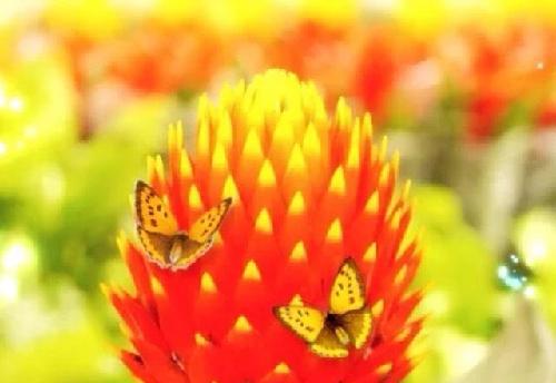 看去年,重组失败,最高时股价90多。今年证监会