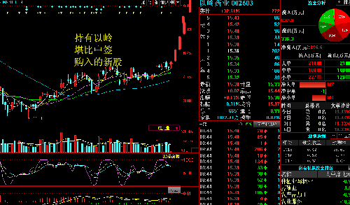 价值洼地 投资需理性,以岭股价今天以后只会上