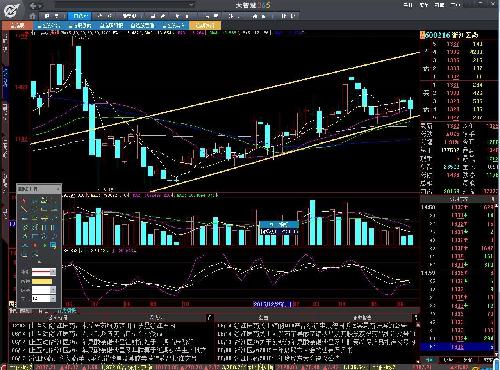 国家开发投资公司(简称国投)_浙江医药(6002