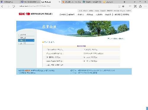 国家开发投资公司(简称国投)_浙江医药(6002