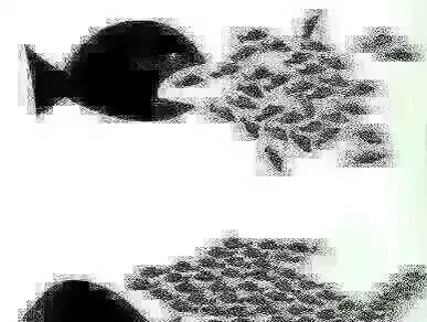 不说话,上图_环球印务(002799)股吧_东方财富