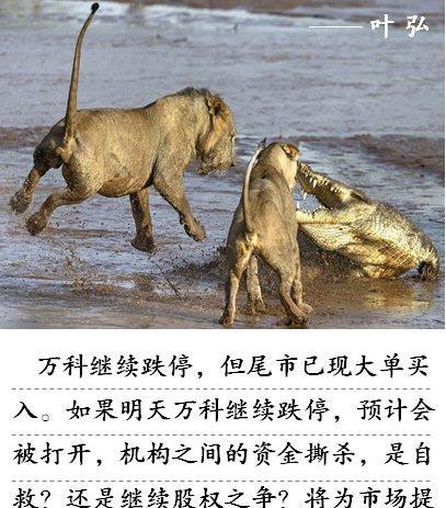 大盘股上涨--推升指数?还是真有行情?_博客(d