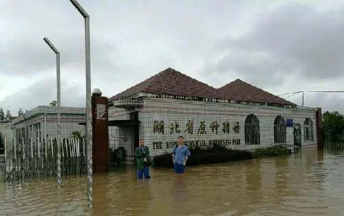 二师兄价格会波动很大,不知道会涨还是跌,短期