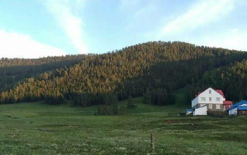 愿我的好朋友们炒股都有好心态!越来越牛!也愿