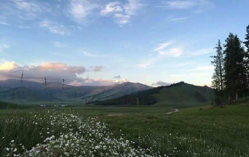愿我的好朋友们炒股都有好心态!越来越牛!也愿