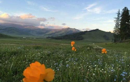 愿我的好朋友们炒股都有好心态!越来越牛!也愿
