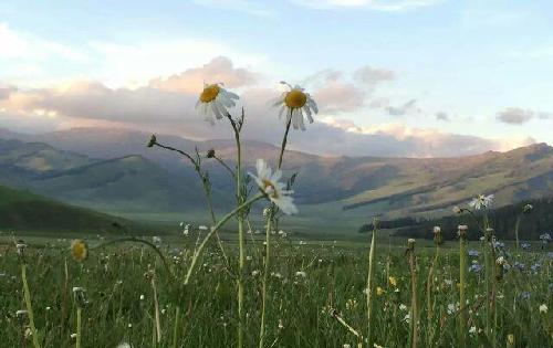 愿我的好朋友们炒股都有好心态!越来越牛!也愿