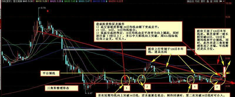 莲花健康之三角形整理形态