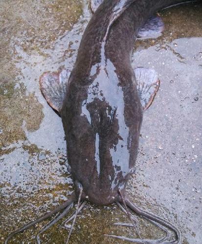 龙王入驻顺络电子,预计要大涨了。 好后悔卖掉