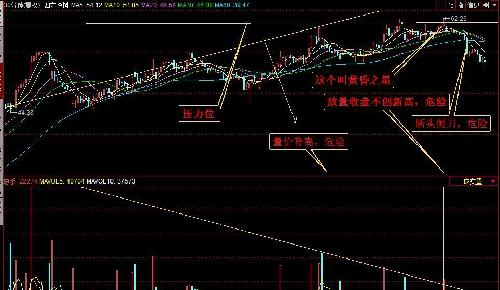 不说什么,自己看_四方冷链(603339)股吧_东方