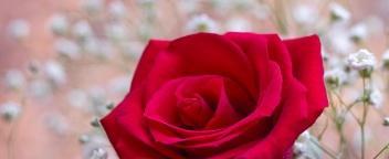 开盘时间到了_赣锋锂业(002460)股吧_东方财