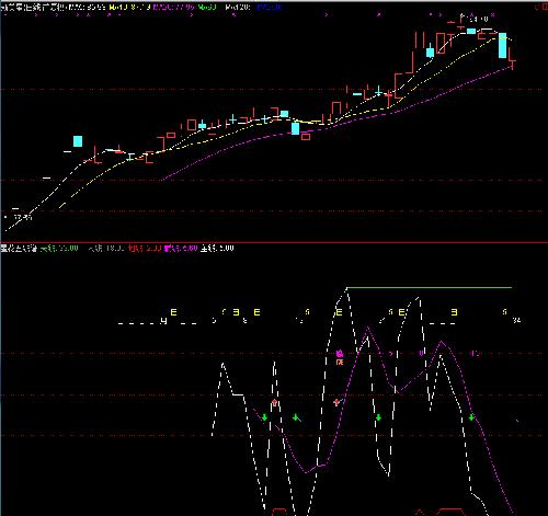 山东黄金和新美星_新美星(300509)股吧_东方
