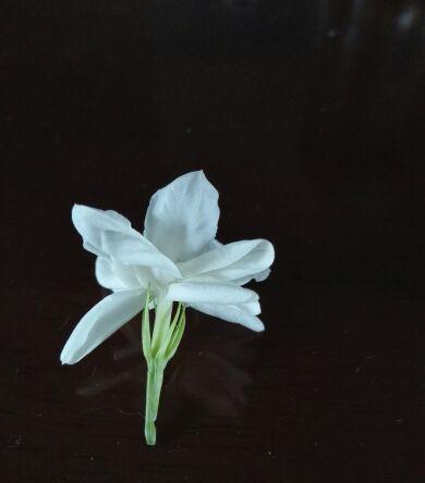 改革先锋,最近这一波还是以国企改革,次新股,创