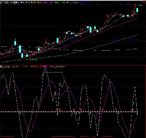 凯乐科技+国星光电+雷曼股份_国星光电(0024