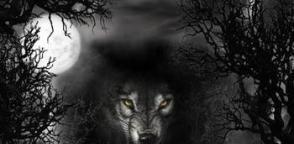 下降通道抢反弹,机构抄底这些股 主力吸筹横盘