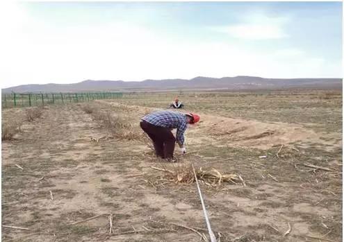 山西大同浑源县驼峰乡20MW光伏扶贫地面电站