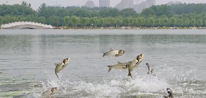 券商'吃饭行情'迎来国企改革的东风_凯龙股份(