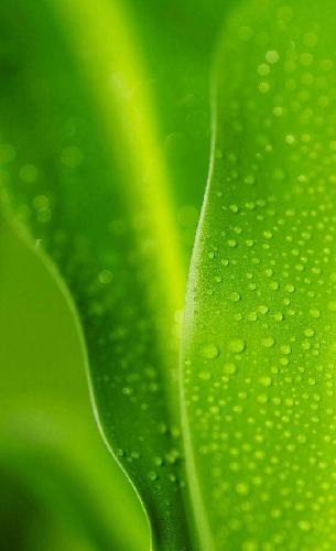 今天有资格申购股票了 。_海虹控股(000503)股