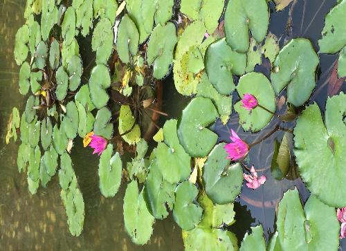 整治市场是重大利好_兴业证券(601377)股吧_