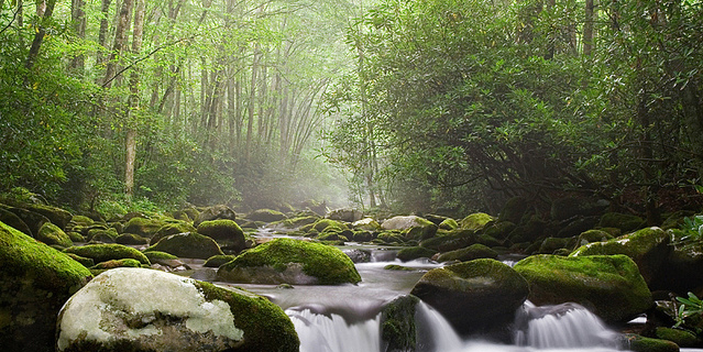 上证指数8月行情观点!_博客(dcblog)股吧_东方