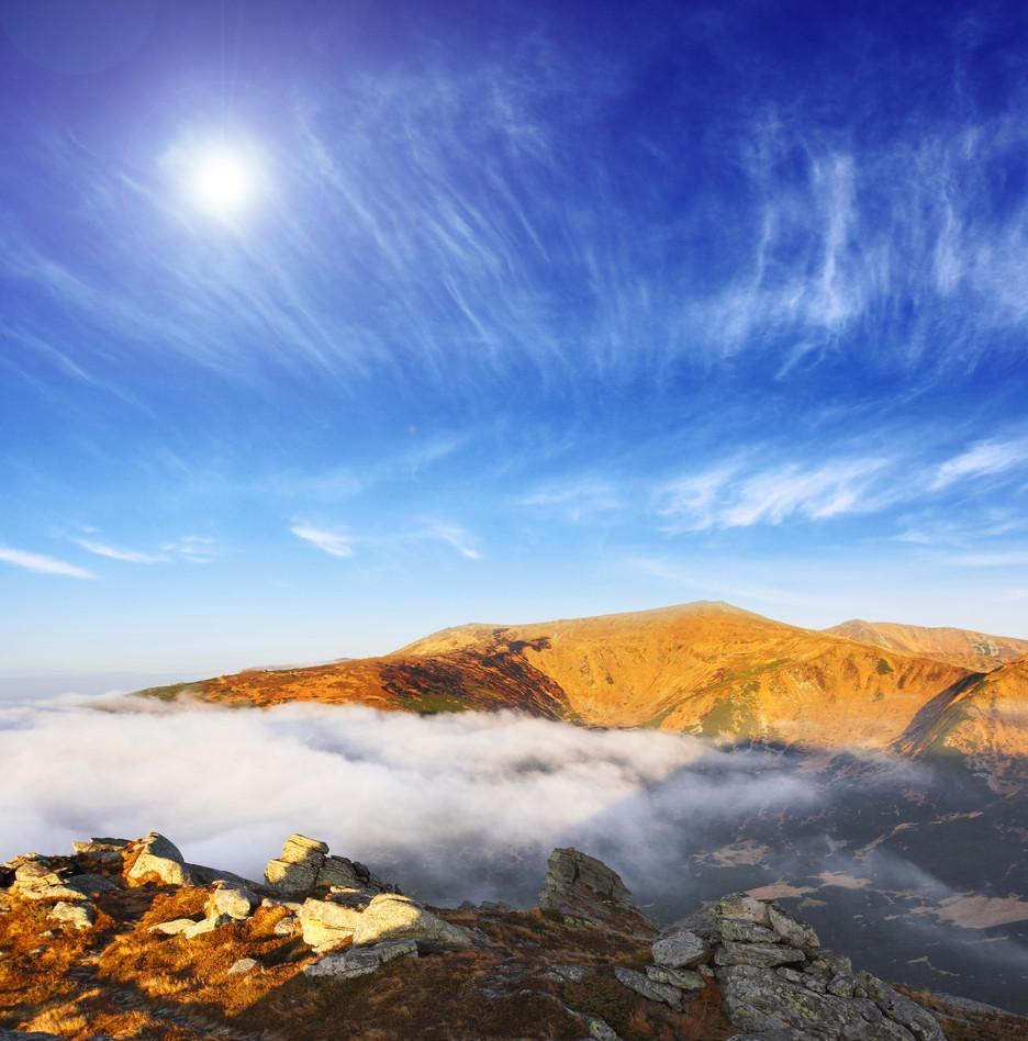 中国网络股暴涨,带领纳斯达克创历史新高 不管