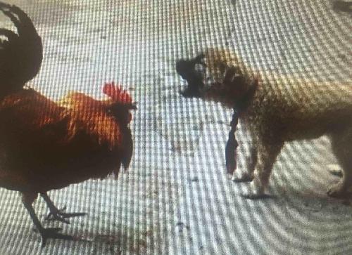 是它们在斗_网宿科技(300017)股吧_东方财富