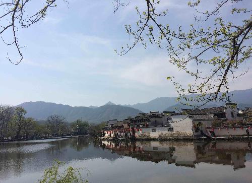 大家坚持住_豫能控股(001896)股吧_东方财富