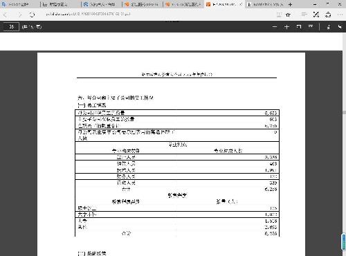 人口年报_新京报10周年特刊版面