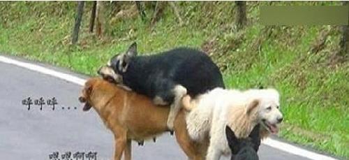 PPP概念股大放异彩 经验分享玩3P真的更刺激