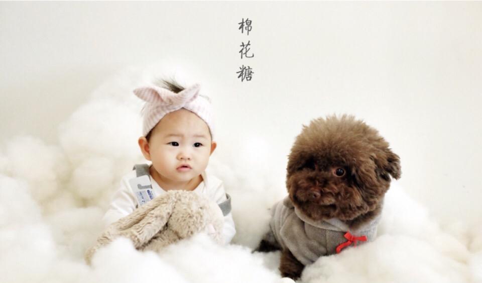 1.彼此关爱 在同小动物的嬉戏中,在相互的关爱与分享中,孩子们能够感受到他们与狗狗给予和接受爱的经历,这是孩子与宠物建立亲密关系后获得的重要体验。 2.增加自信 狗狗可不会在意孩子在学校里成绩如何,也不会在意他是否做了傻事或是否调皮。不论孩子受到什么样的挫折,它们都会给他无条件的关注,使孩子获得自信。研究表明,有宠物的孩子具有较高的自尊。 3.