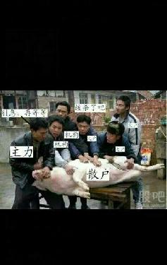 散户炒股,十炒九输。远离股市,珍惜生命。_上