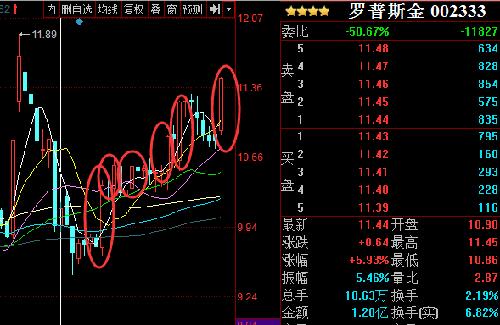 罗普斯金粗略梳理的情况_罗普斯金(002333)股
