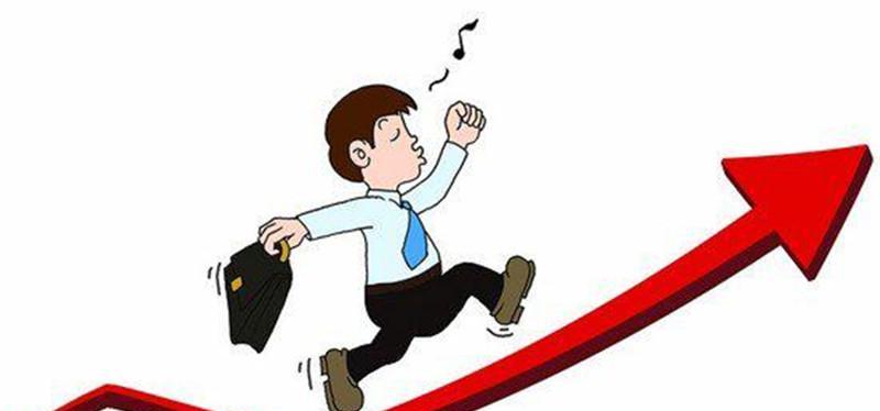 新晨科技(300542)中签号查询,新股新晨科技中