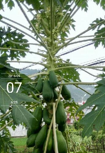 鸟儿欢唱,秋意撩人~跑步5000米~_万科企业(hk