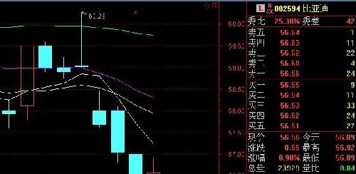 看看天齐锂业、比亚迪的股价走势:必然向上突