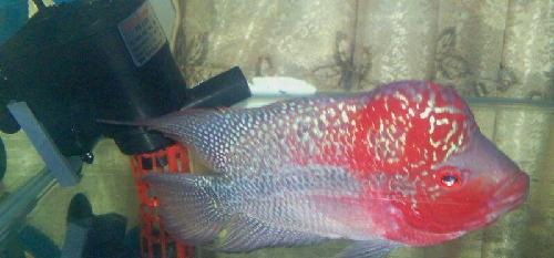 这是中签优德给自己发的奖品[胜利][胜利][胜利