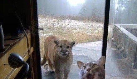 控制仓位,规避长假期间不可预测的风险_博客(