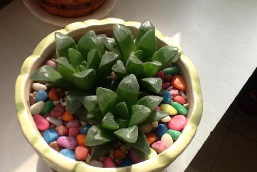 股吧需要净化环境_*ST钒钛(000629)股吧_东方