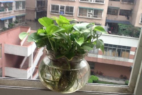 股吧需要净化环境_*ST钒钛(000629)股吧_东方