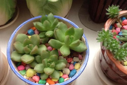 股吧需要净化环境_*ST钒钛(000629)股吧_东方