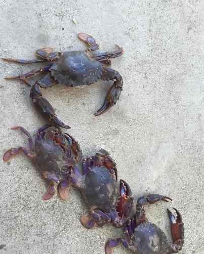 看盘一泻千里_西安饮食(000721)股吧_东方财