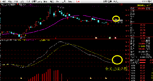 300506名家汇_名家汇(300506)股吧_东方财富