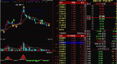 AMC概念股持续火爆:中房地产(000736)大股东