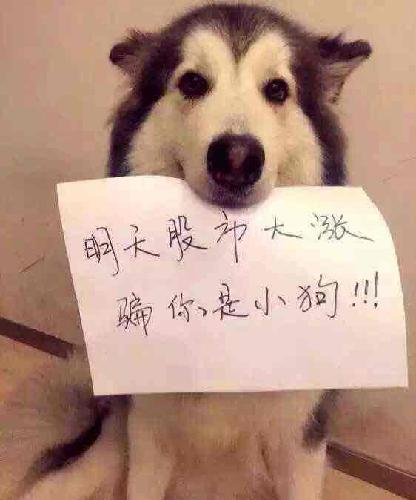 [图片]_辉丰股份(002496)股吧_东方财富网股吧