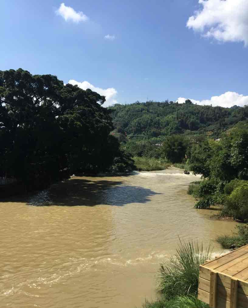 浑水才能摸鱼,利空方得建仓!干死主力!