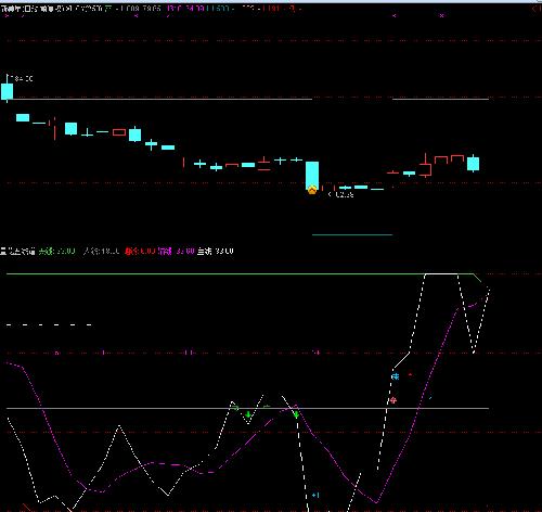 509新美星.300519新光药业.300226上海钢联.