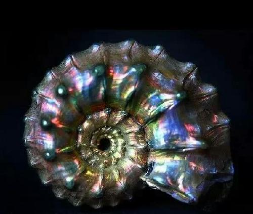 今天买了此与360奇虎合作的股票,关系到幼儿教