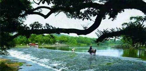 中国中车股吧-四川双马股吧|中国中车股吧东方